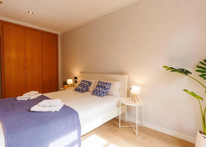 Bravissimo Mora 4 *